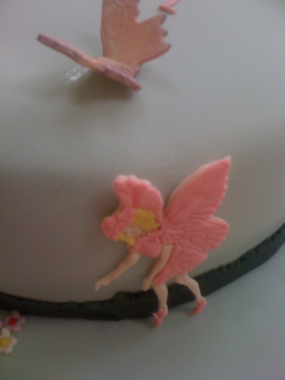 wedding cakes and birthday cakes buckinghamshire